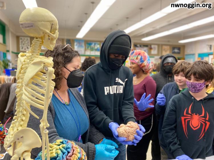 Standing next to a skeleton model, a boy holds a brain in both hands