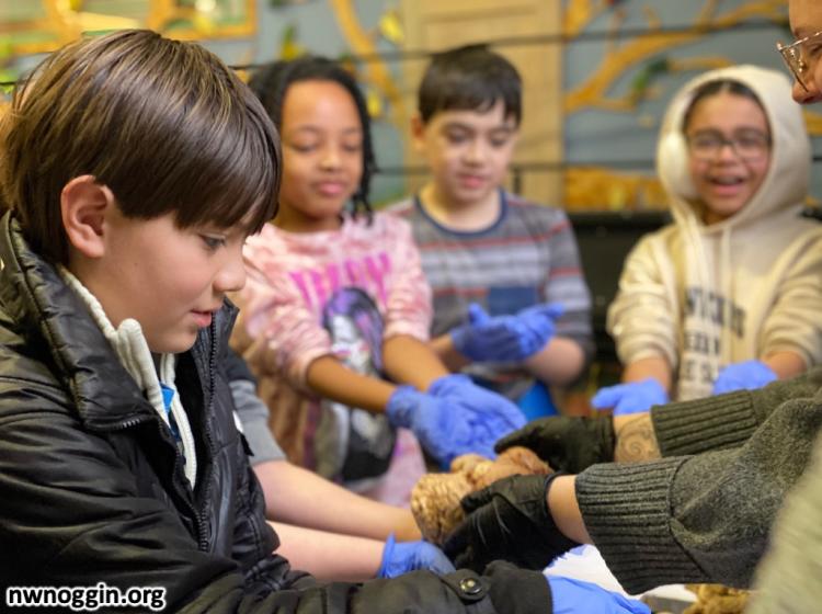 Kids hold out their hands to hold a brain being offered to them by a NW Noggin volunteer