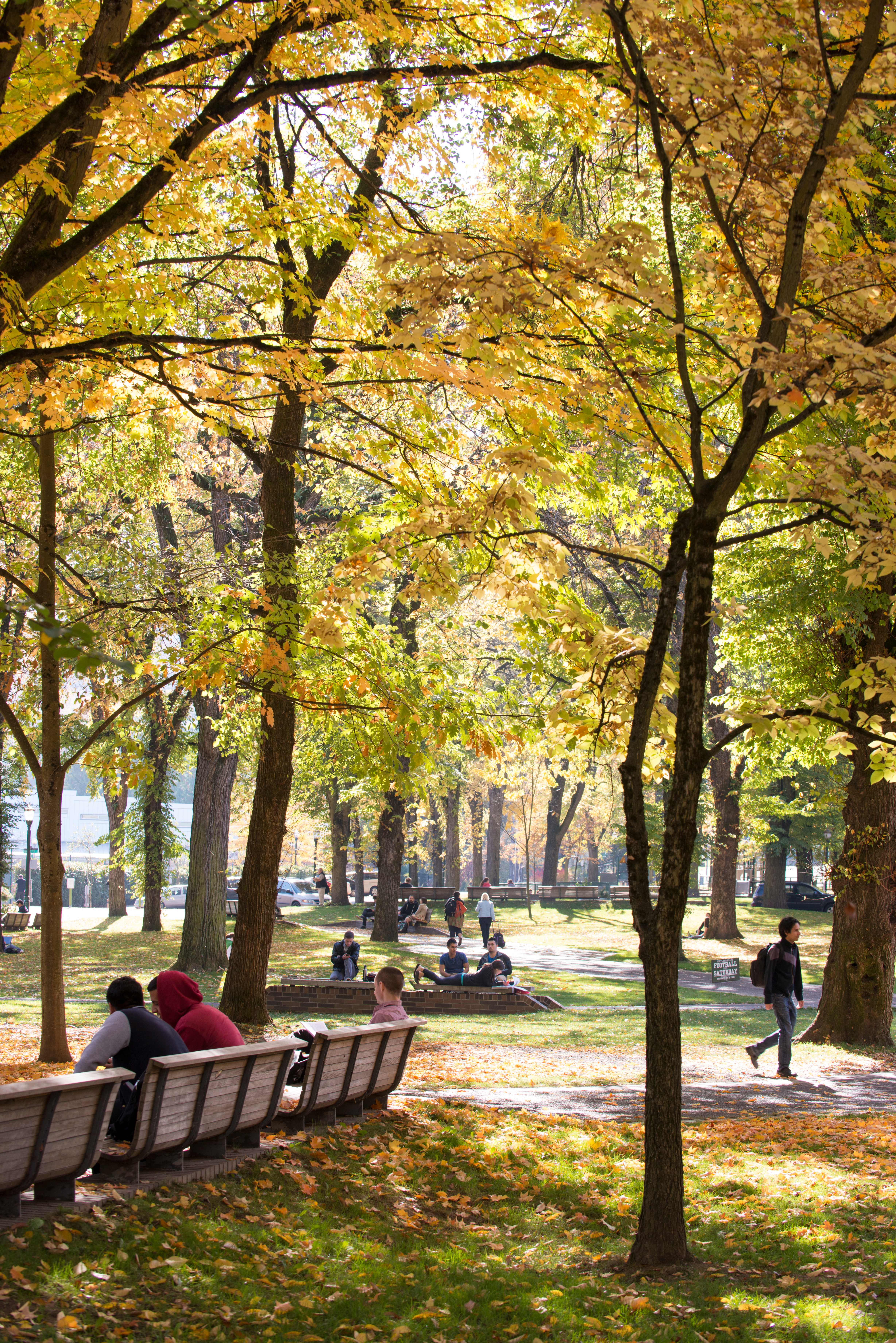 Outdoor picture of PSU park blocks in the fall