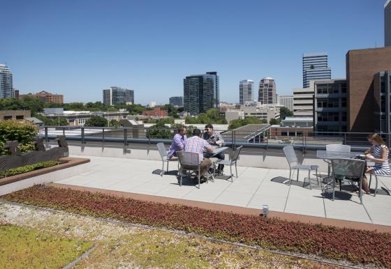 gathered on an Eco Roof