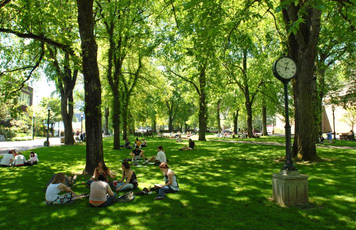 Green Park Blocks 