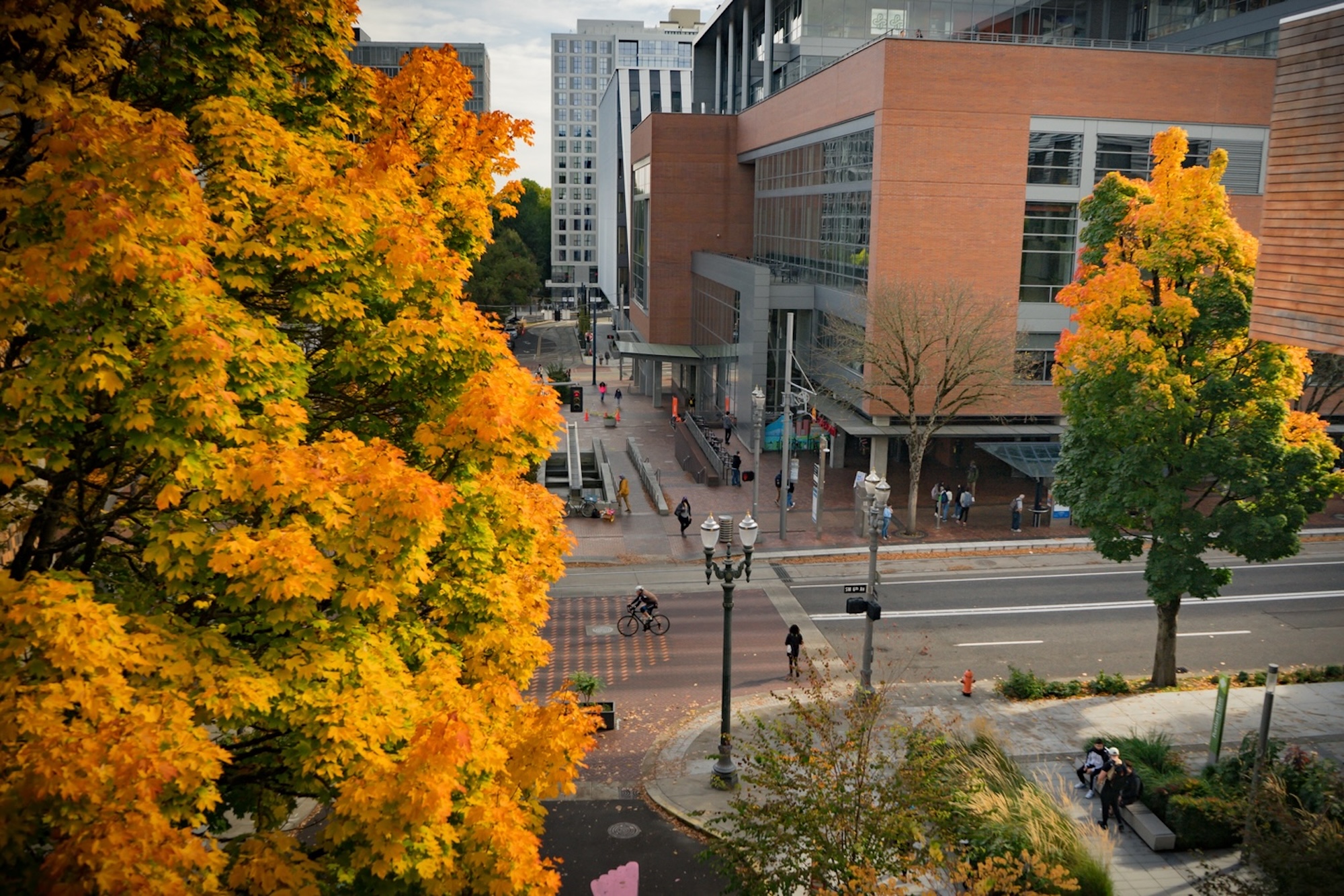CREC_Fall_24