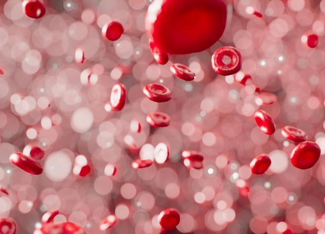 bloodbornepathogen