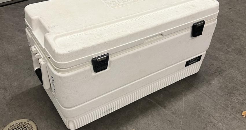 largecooler