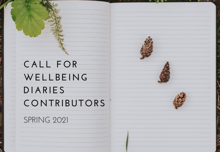 There is a notebook with lined paper on the grass. There are three pine cones on the right side of the notebook, and there is text on the left that reads, "Call for wellbeing diaries contributors. Spring 2021."