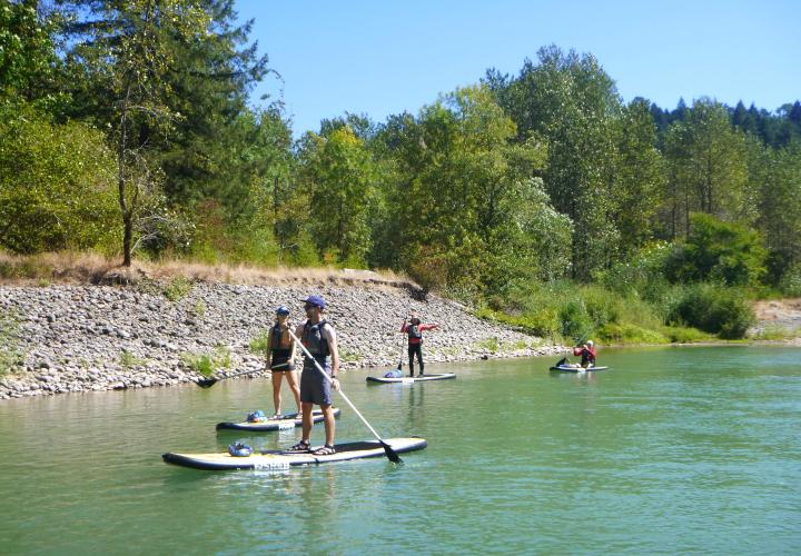 people paddleboarding on a river