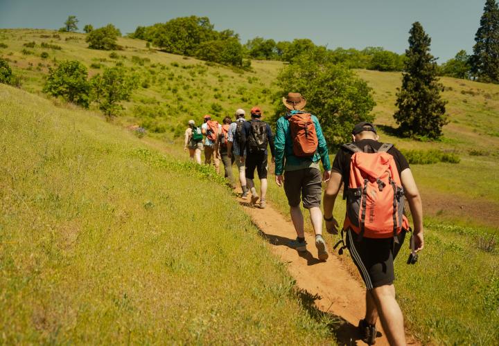 A group of people in hiking gear, hiking on a green hillside.