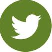 Twitter icon in white inside of a green circle