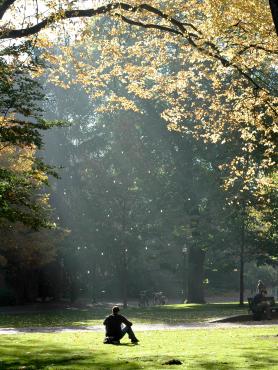 image of student in park blocks