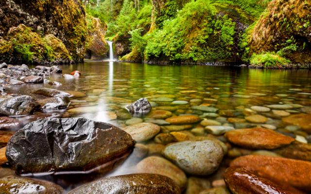 The Oregon Biodiversity Information Center