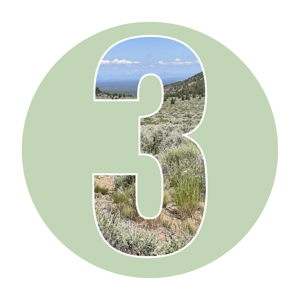 Number 3 with landscape of the Oregon Badlands inside.