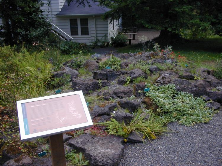 Siskiyou Bed (2005).