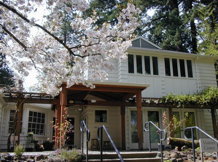 BBG house with blooming cherry (2008).
