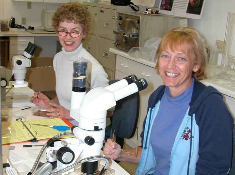 Conservation seed lab with Jean Quinsey and Chris Sarda (2005).