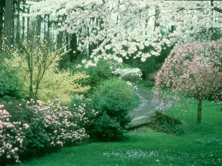 East view of the Garden (1978).