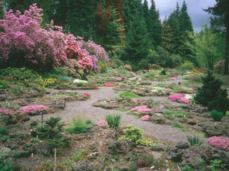 Rock Garden (1984).