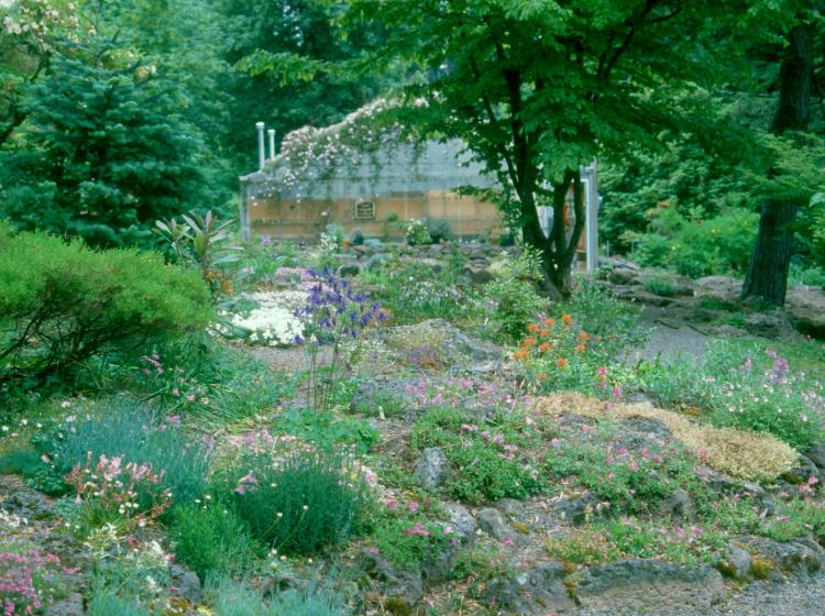 Old greenhouse (1985).