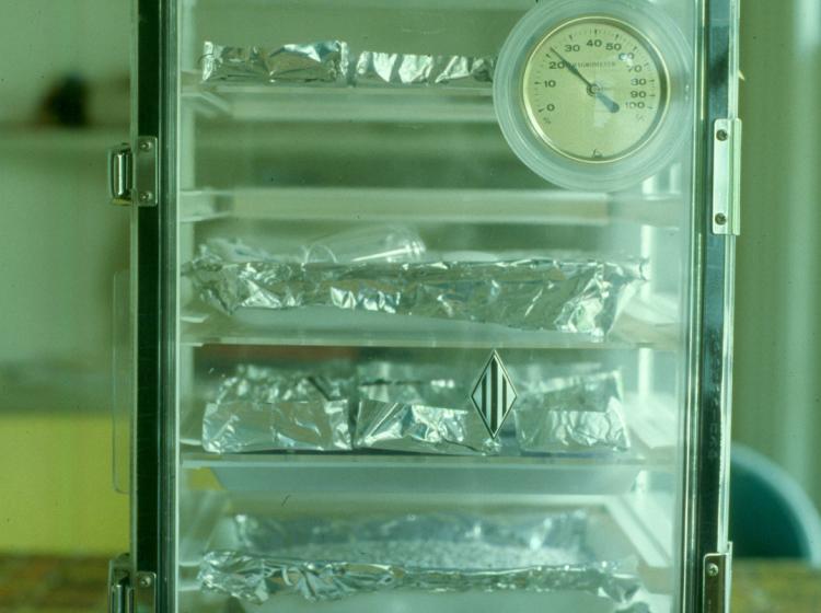 First seed dessication chamber (1984).