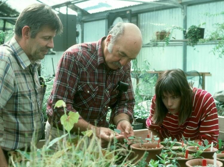 In the greenhouse with Andy Robinson, Bob Parenti, and Julie Kierstead (1987).