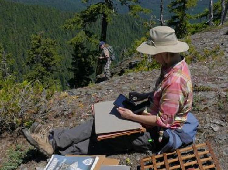 Kris Frietag, Chief Curator, conducting rare plant field surveys.