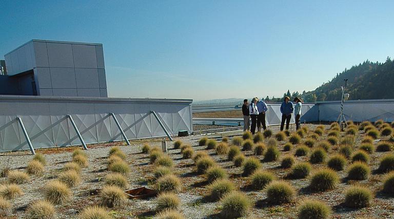 group of PSU Environmental Engineering students working on a rooftop garden