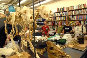 Students examining bones with a faculty member