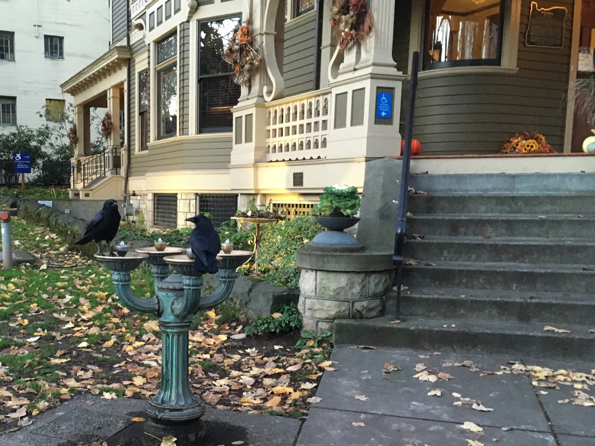 The image is of a bird drinking out of a fountain. 