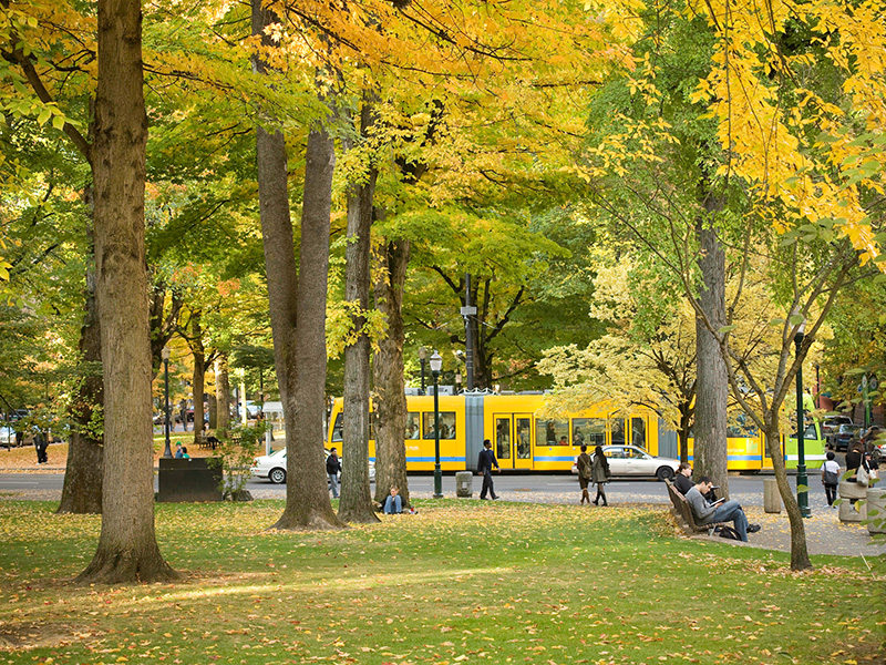 PSU students walking through the Park Blocks on campus