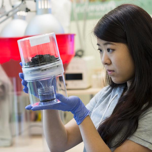 Student observing science experiment