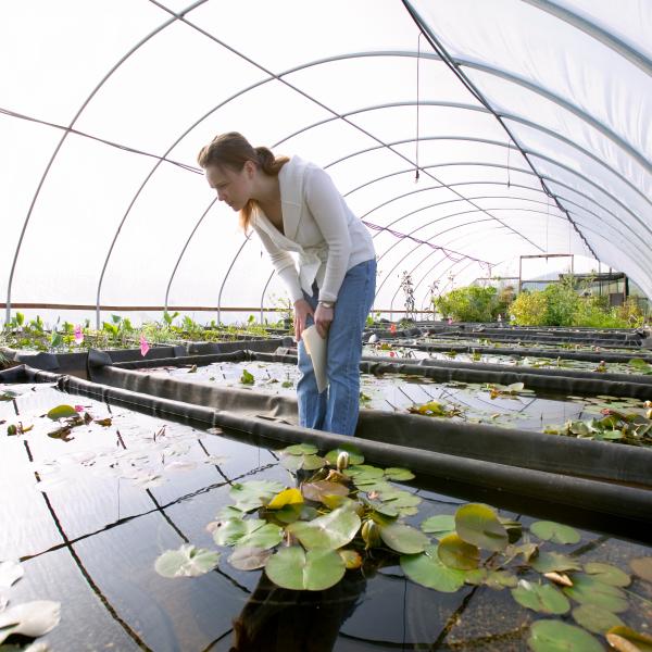 Student in test garden