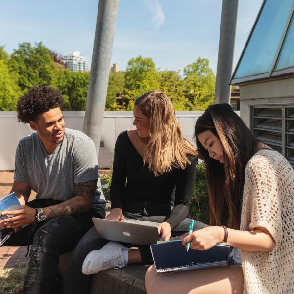 students studying outside