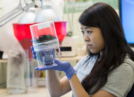 Student observing science experiment