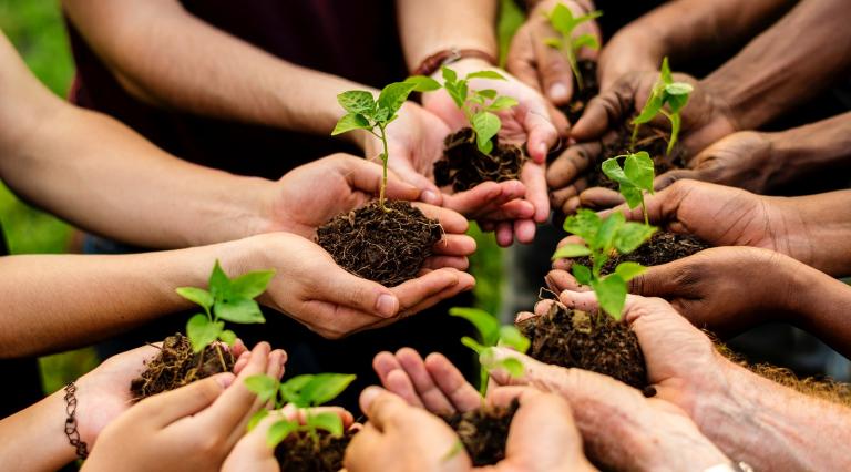 leadership for sustainability education students standing in a circle holding seedlings in their hands