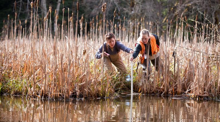 Two researchers taking a water sample in a bog
