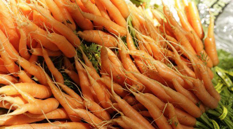 bunches of carrots to be sold at a farmer's market