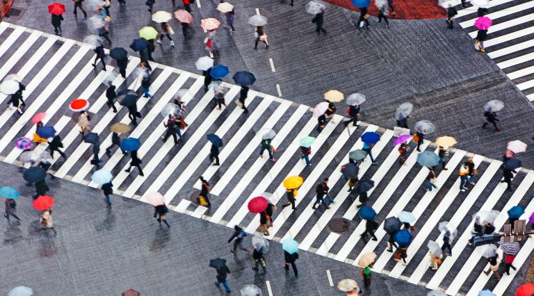 PSU world languages teaching japanese as a foreign language undergraduate students crossing busy tokyo street