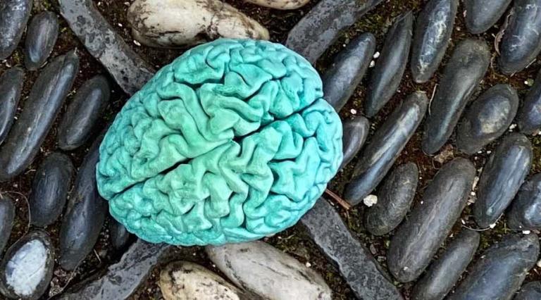 Colorful brain