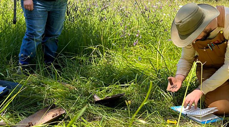 Students working on a dig site