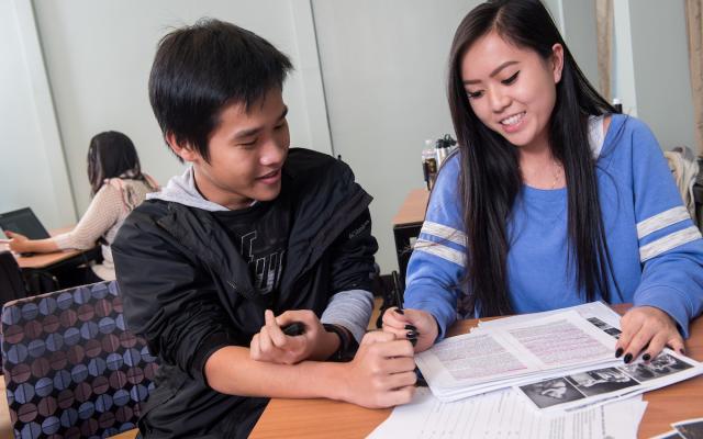 Two students studying together