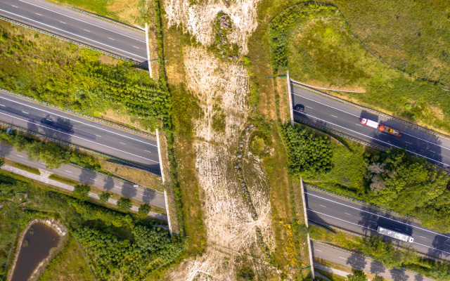 Aeral view of a grass-covered wildlife overcrossing, spanning over six highway lanes