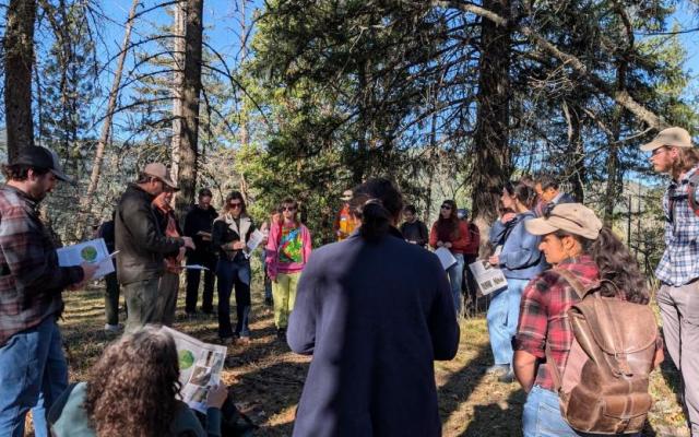 A group of faculty and students stand in a wooded area holding papers and discussing climate research during an outdoor workshop