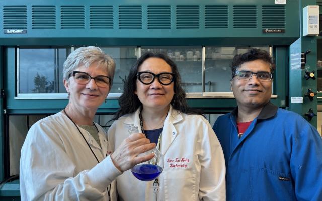 Three PSU researchers in lab coats stand in a laboratory holding a flask containing a bright blue chemical compound linked to promising malaria treatment research