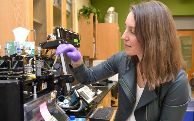 Anne Thompson wearing purple gloves working with laboratory equipment