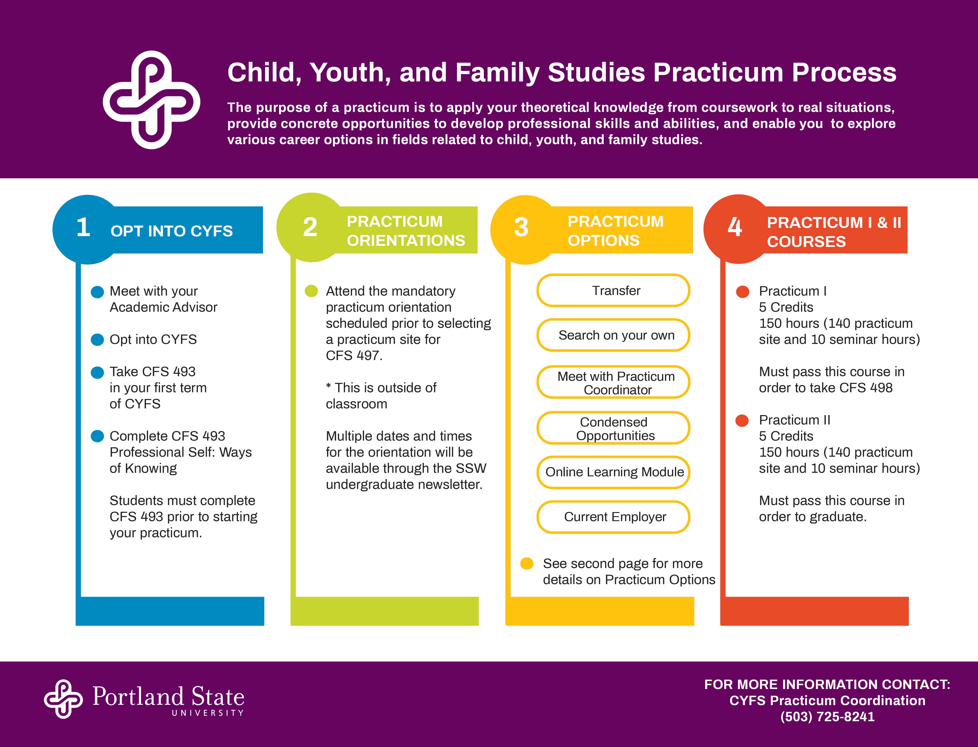 CYFS Practicum 1,2,3,4 steps