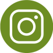 Instagram Icon in PSU Green