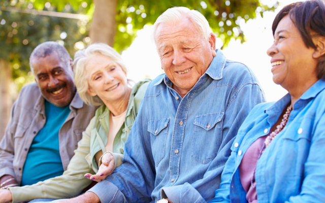The photograph depicts a group of elderly individuals, dressed in casual attire, sitting together on a bright and sunny day.