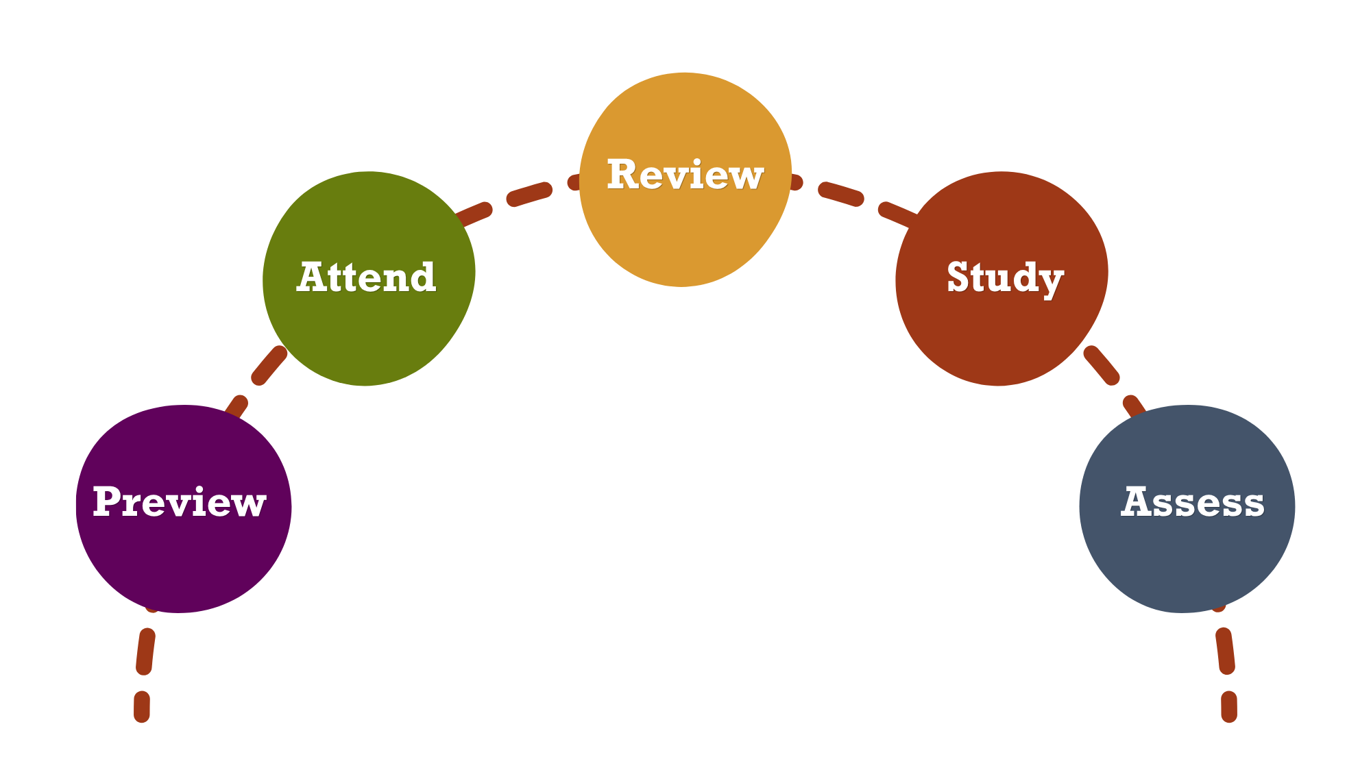 Image of 5 circles with the words Preview, Attend, Review, Study, and Assess, illustrating the study cycle.