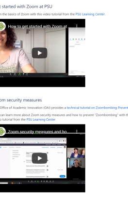 Thumbnail of the Zoom overview OIT page