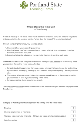 Thumbnail of the online Time Survey