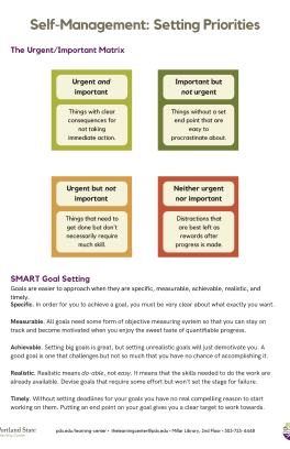 Self-management. Setting priorities.